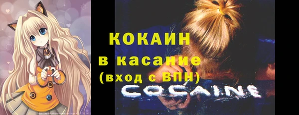 индика Осташков