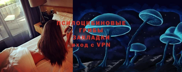 стафф Осинники
