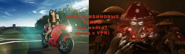 a pvp Бугульма