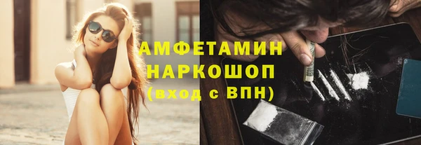 индика Осташков