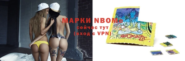 индика Осташков