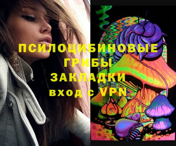 индика Осташков