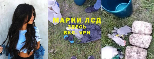 стафф Осинники
