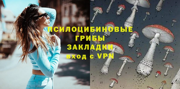 spice Очёр