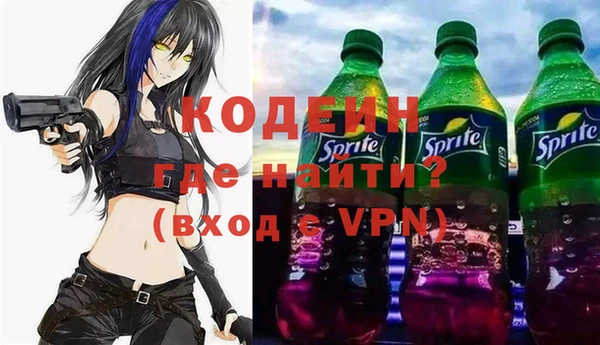 индика Осташков