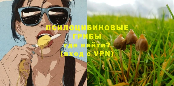 индика Осташков