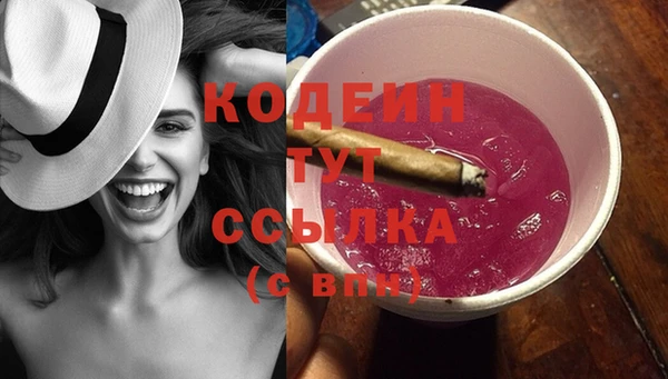 индика Осташков