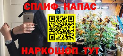 дурь Гусев
