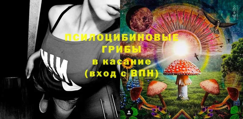 Псилоцибиновые грибы Magic Shrooms  Полевской 