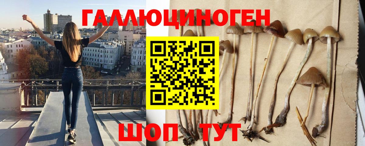Галлюциногенные грибы Magic Shrooms Полевской